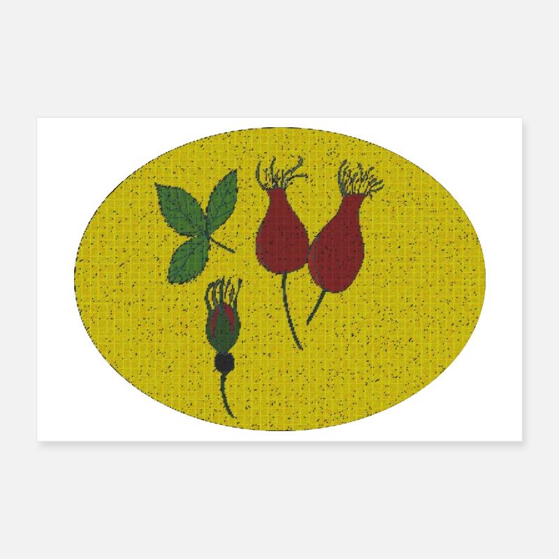 Rosehip Circle Poster 12" x 8" (30x20 cm)
