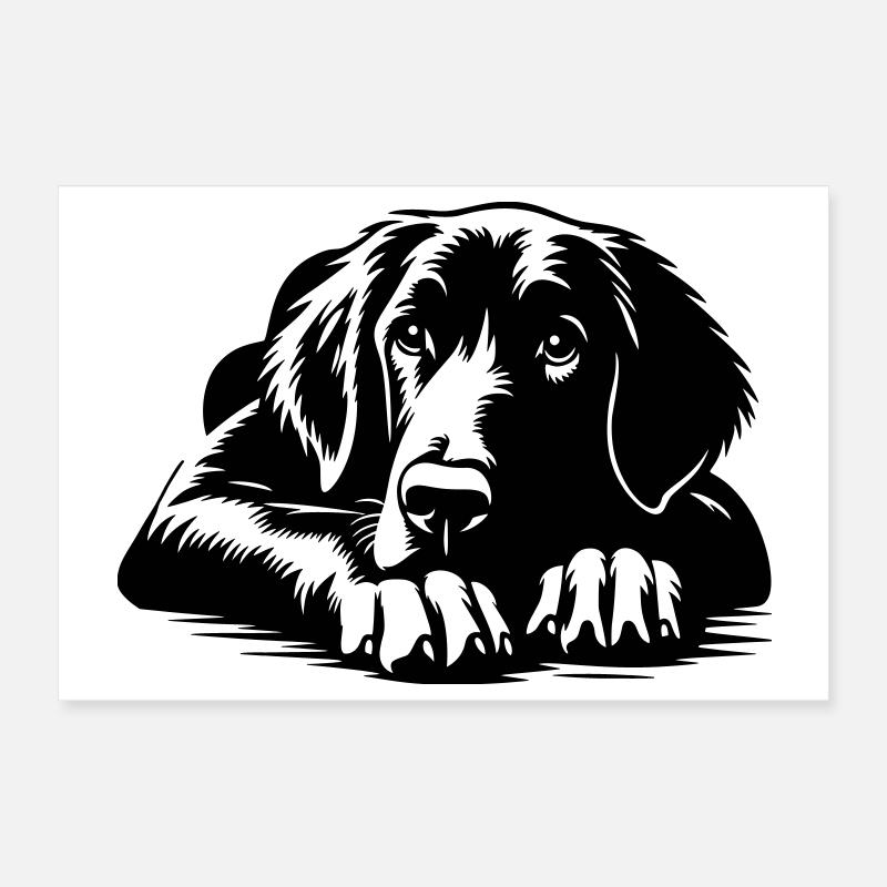 Retriever à poil plat Poster 30 x 20 cm