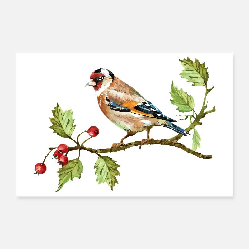 Oiseau coloré Poster 30 x 20 cm