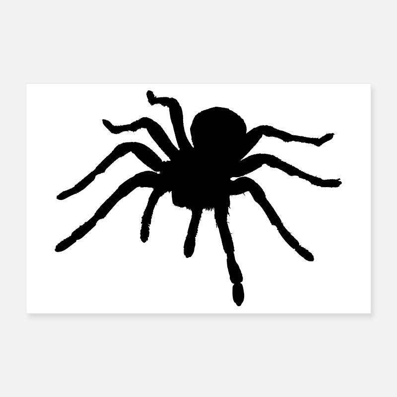 Spider - Araignée - Ragno - Araña Poster 12" x 8" (30x20 cm)