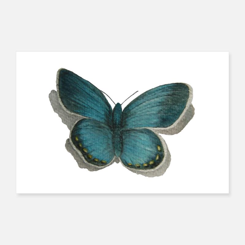 papillon Poster 30 x 20 cm