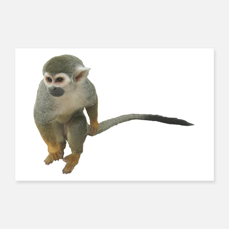 Affe Poster 30x20 cm