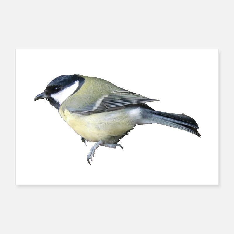 Great Bird Poster 12" x 8" (30x20 cm)