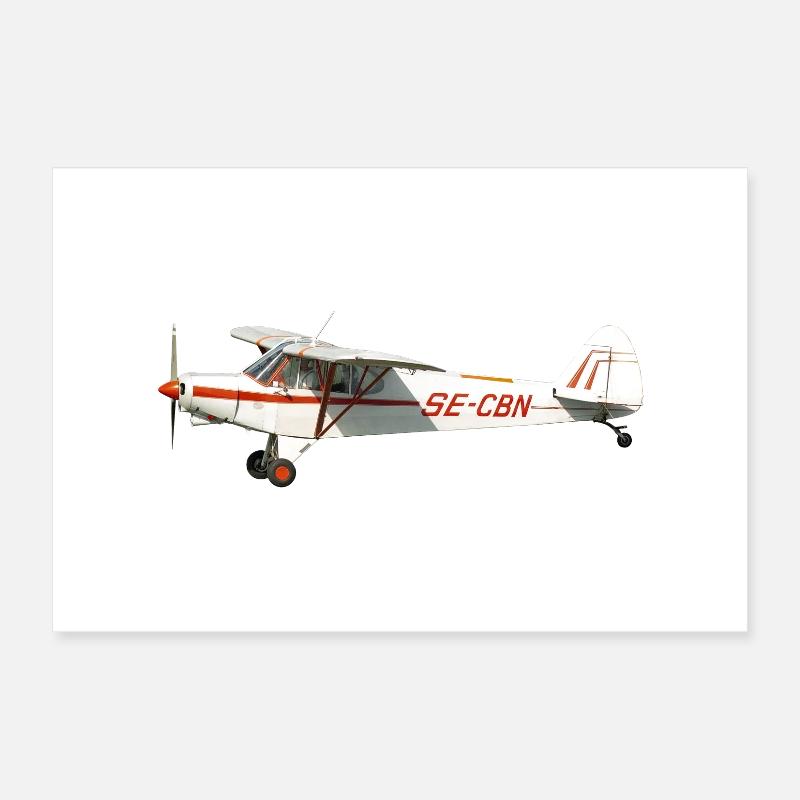 avion Poster 30 x 20 cm