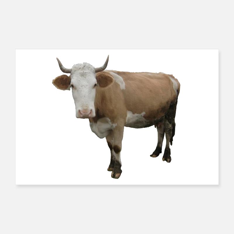 Vache Poster 30 x 20 cm