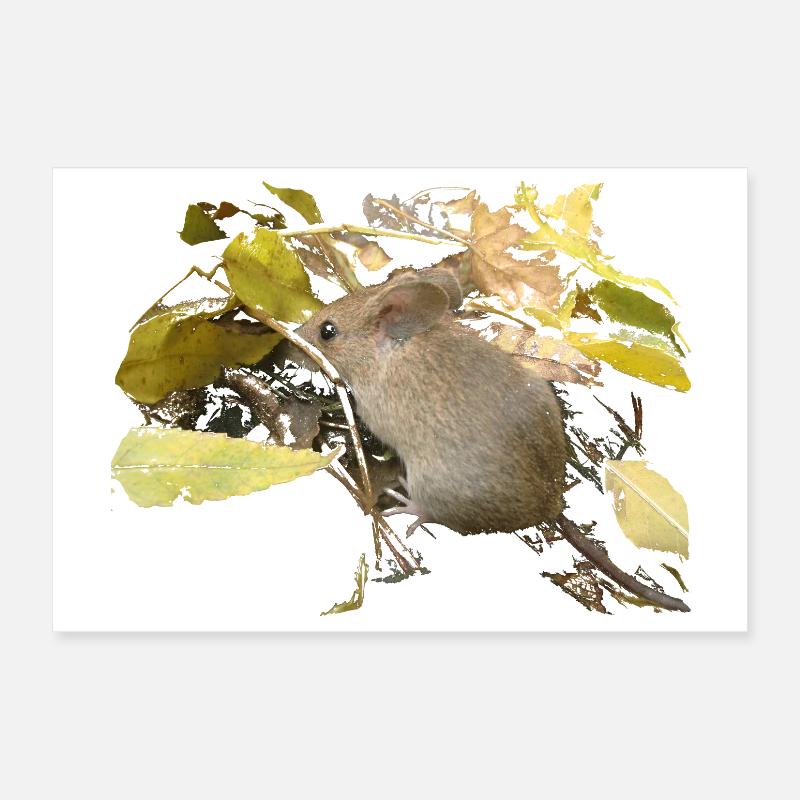 mouse in foliage Poster 12" x 8" (30x20 cm)