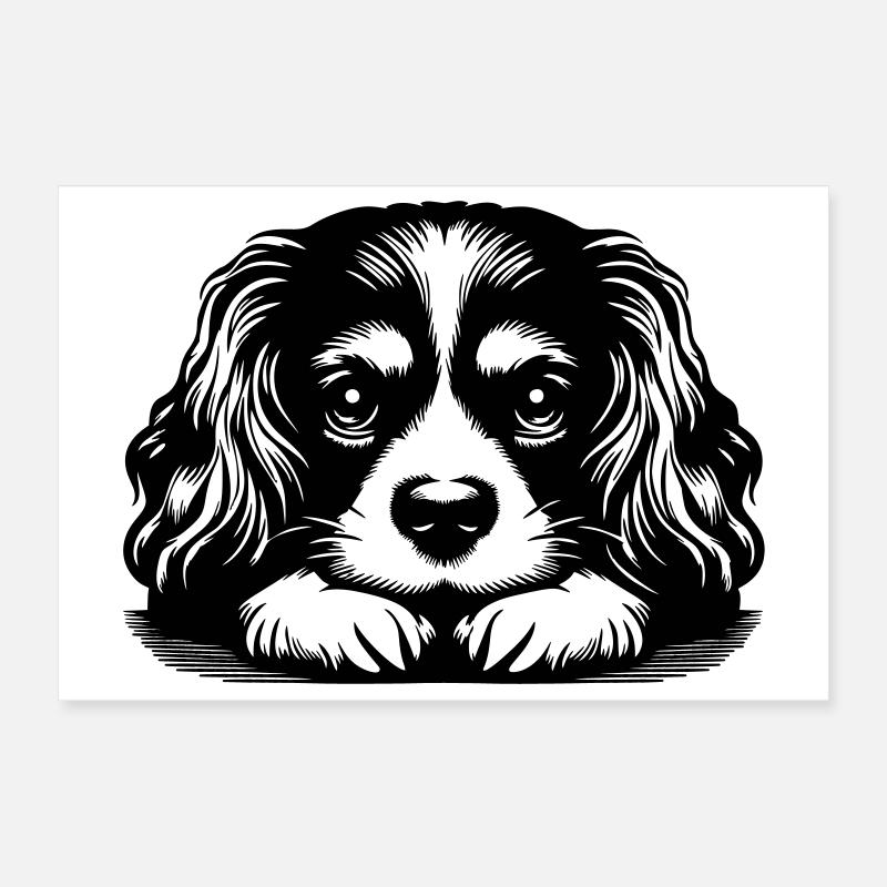 Cavalier King Charles Spaniel Kopf mit Pfoten Poster 30x20 cm