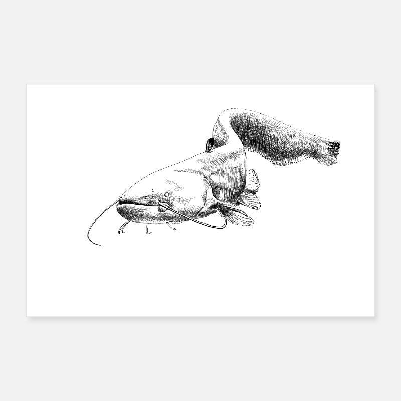 catfish Poster 12" x 8" (30x20 cm)
