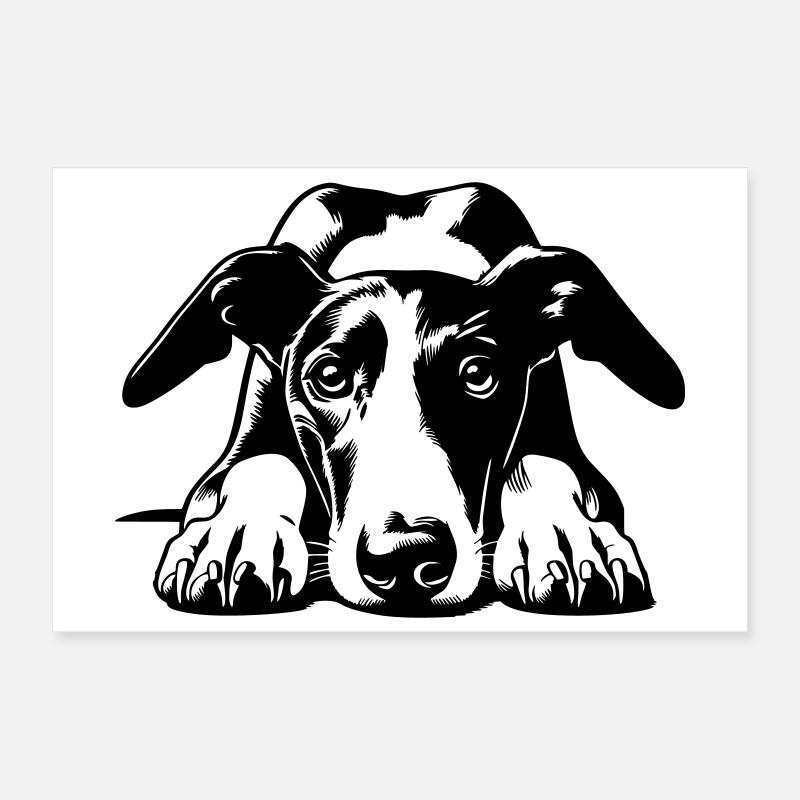 Tête de Galgo avec pattes Poster 30 x 20 cm