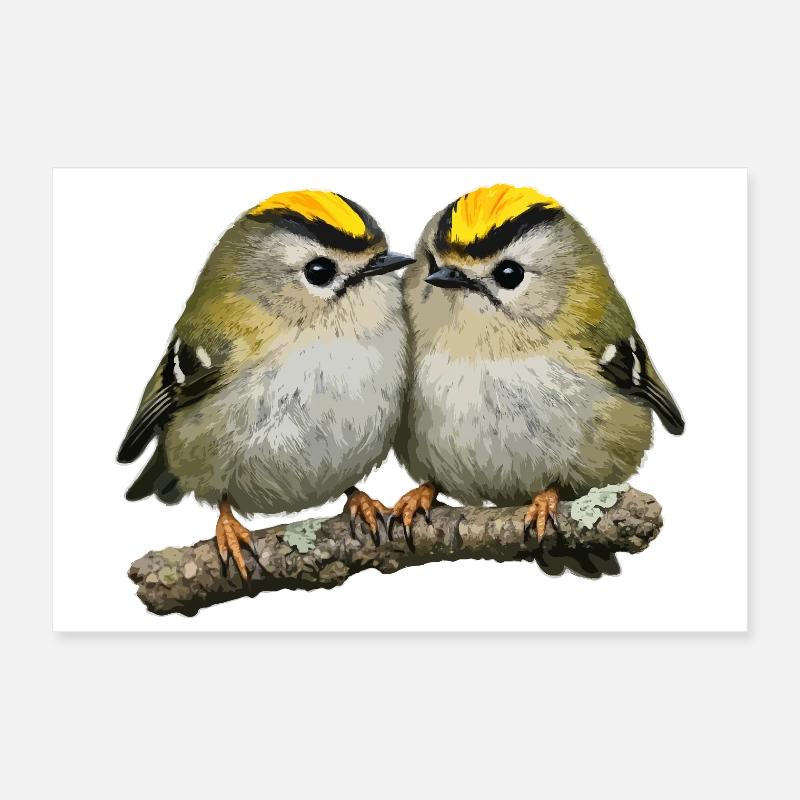 Duo de Firecrests sur Branch Poster 30 x 20 cm