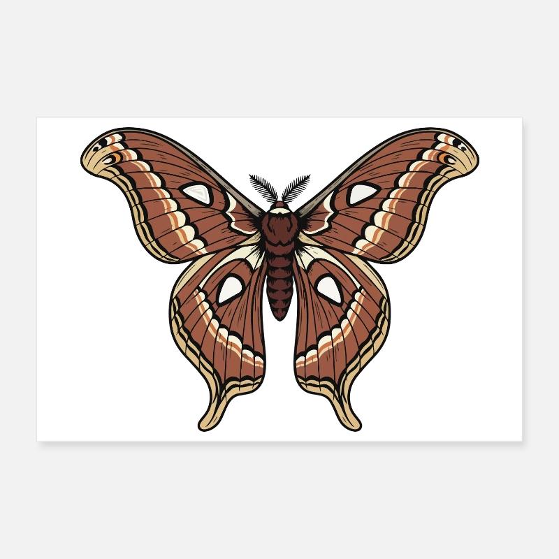 Papillon Polypheme Moth Saturnie Wing Tattoo Poster 30 x 20 cm