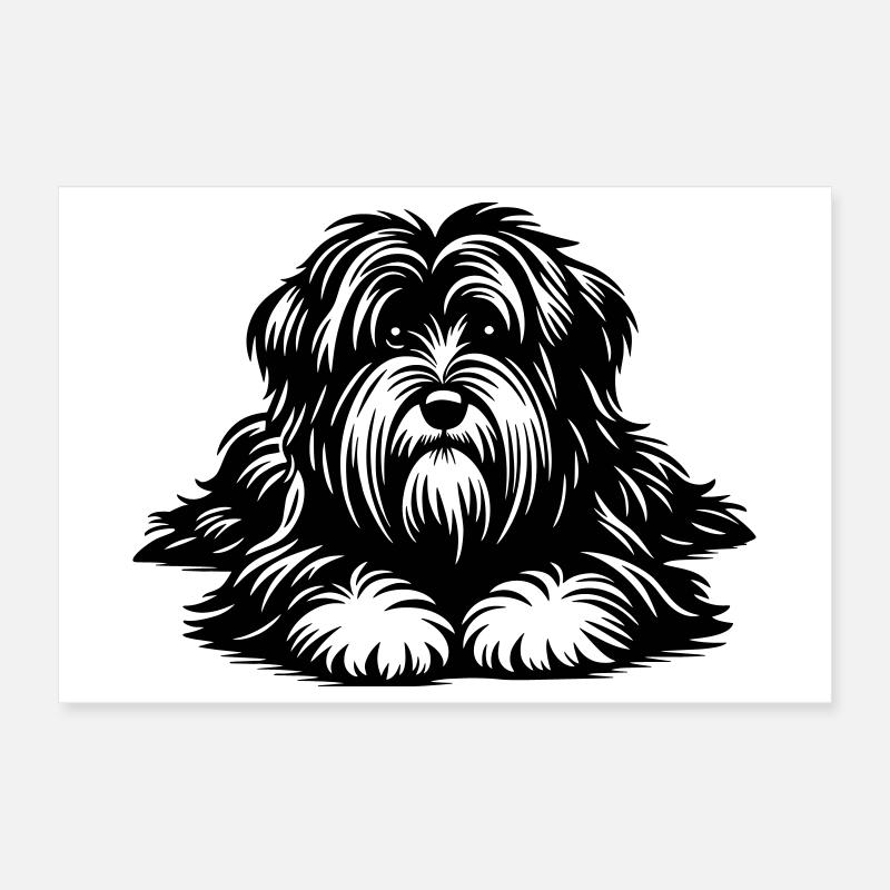 Tibetan Terrier Poster 12" x 8" (30x20 cm)