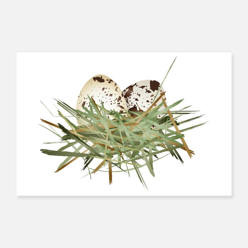 zwei Wachtel Eier im Heu Nest Poster 30x20 cm