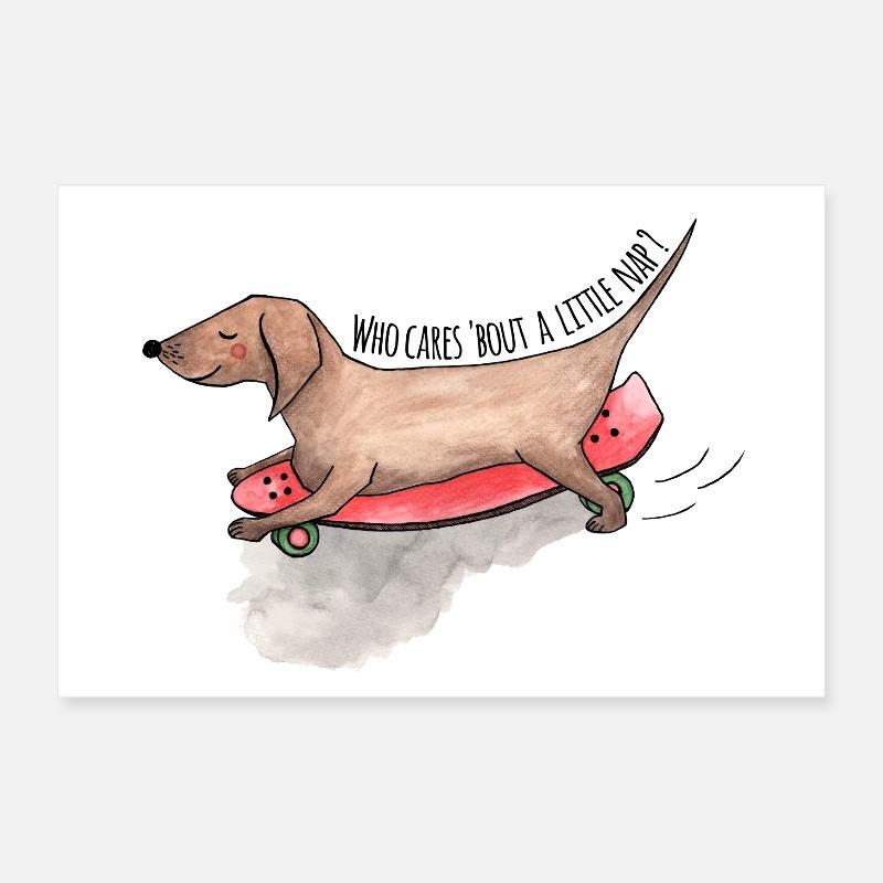 Teckel Longboard Chiens Sieste Poster 30 x 20 cm