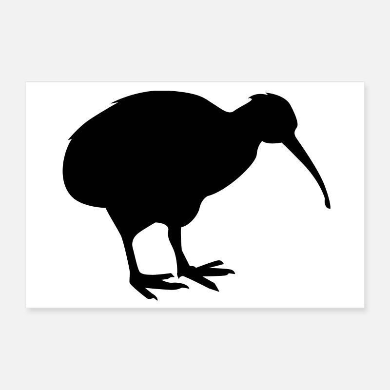 kiwibird neuseeland Poster 30x20 cm