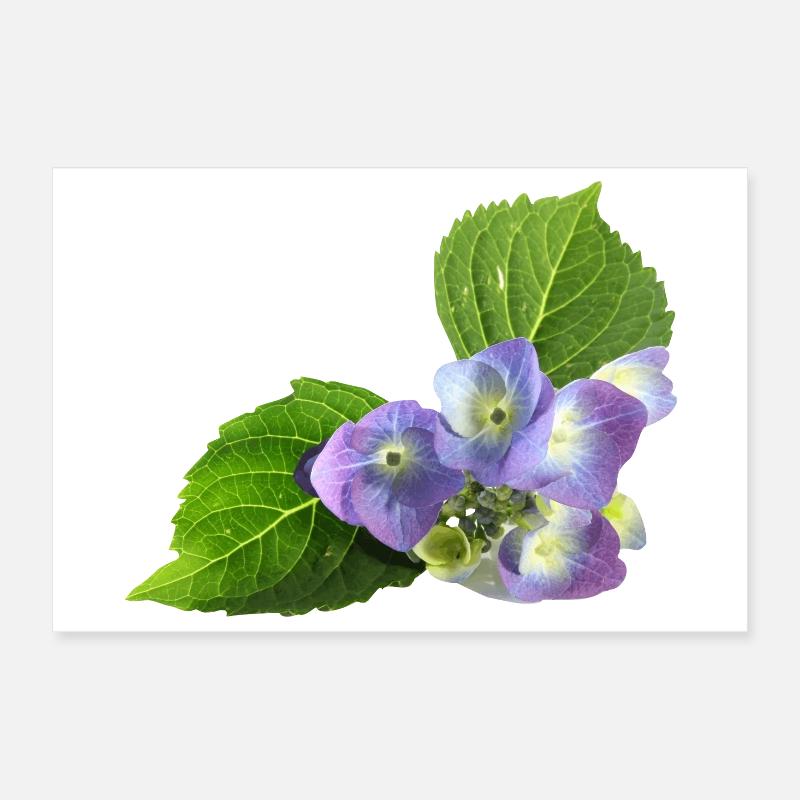 fleur Poster 30 x 20 cm
