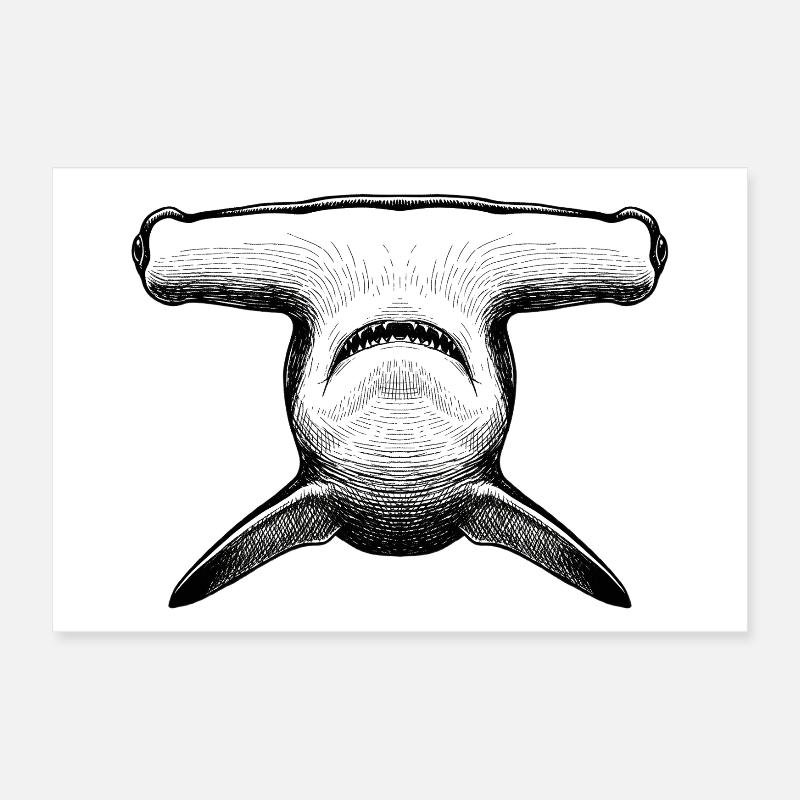 Hammerhai Poster 30x20 cm