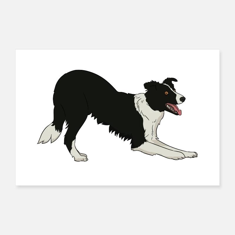 Border Collie Poster 30 x 20 cm