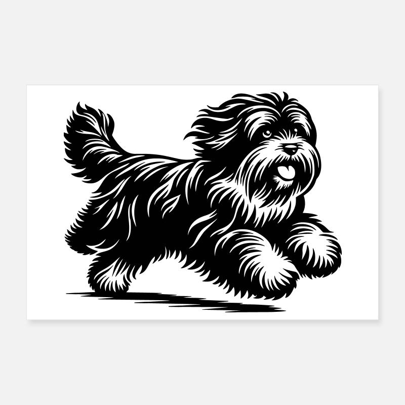 Tibetan Terrier Poster 12" x 8" (30x20 cm)