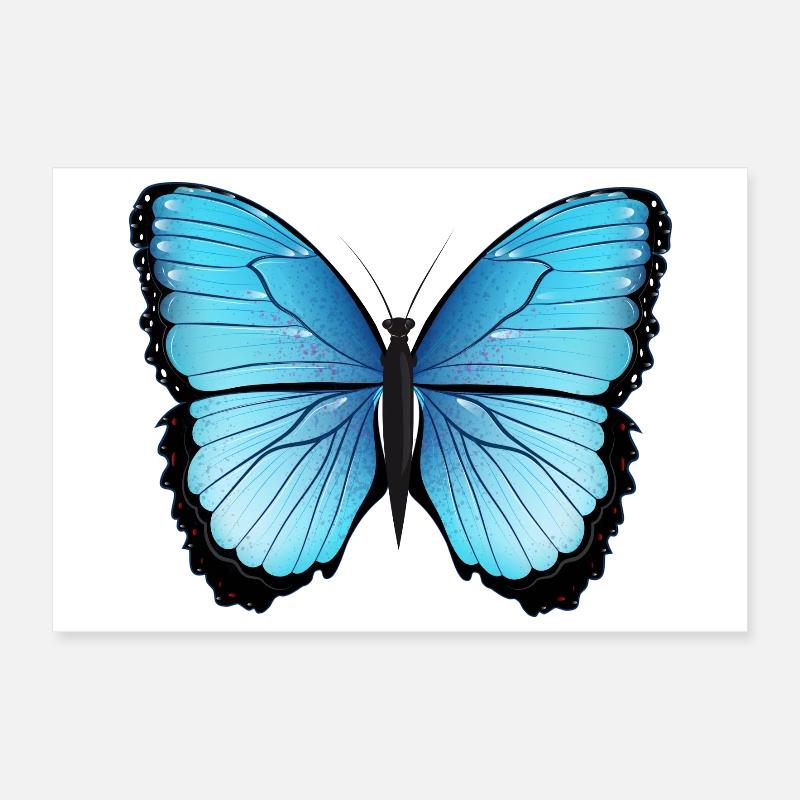 blue butterfly hand drawn and colored Poster 12" x 8" (30x20 cm)