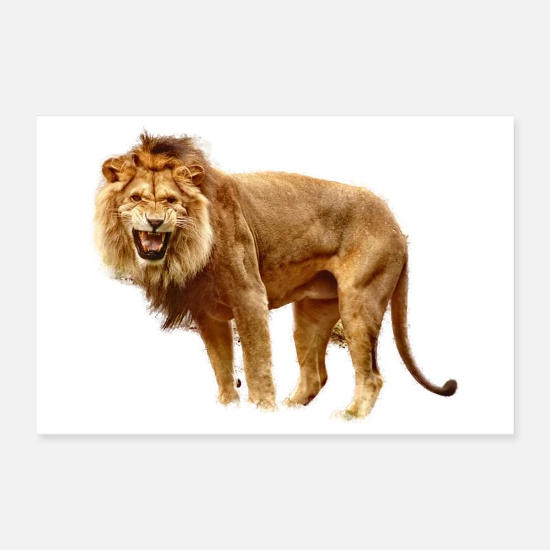 Lion Poster 30 x 20 cm