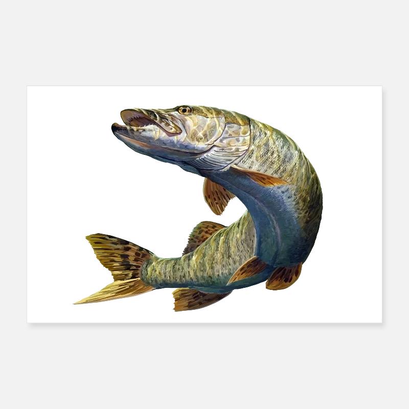 Hecht Poster 30x20 cm