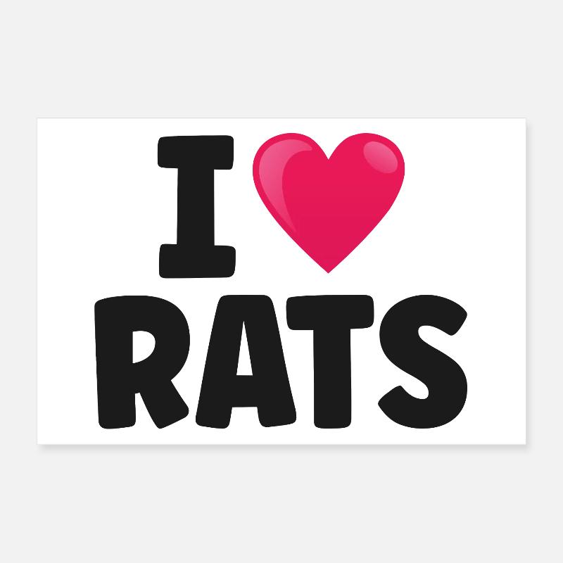 Ratte Ratten Poster 30x20 cm