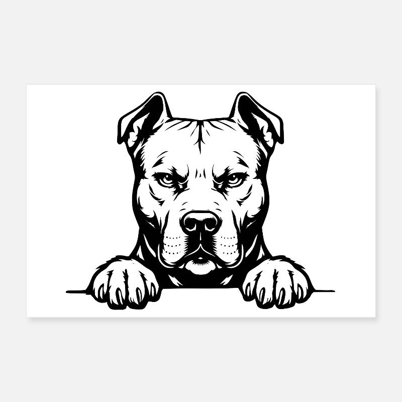 Pitbull Kopf mit Pfoten Poster 30x20 cm