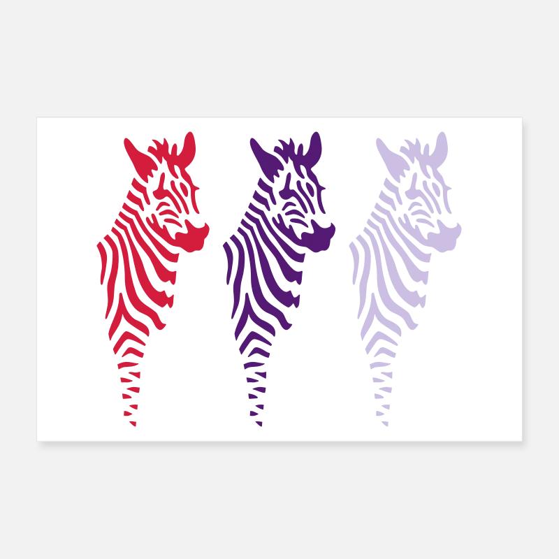 Three Zebras (b) Poster 30x20 cm