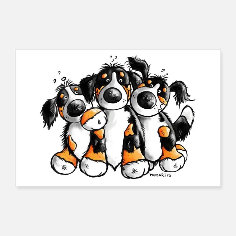 Drollige Berner Sennenhunde Poster 30x20 cm