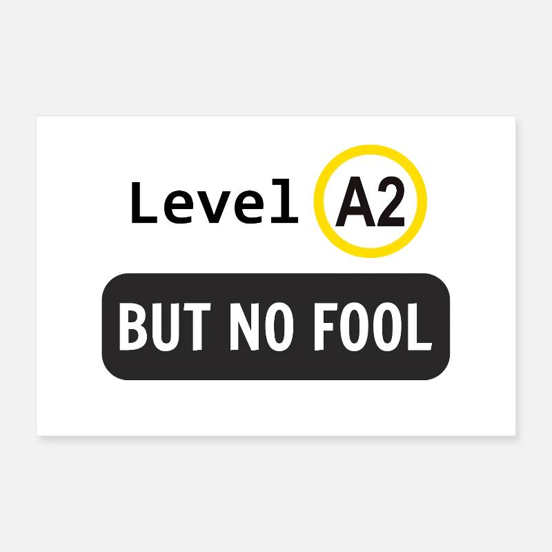 Niveau de langue A2, mais pas idiot Poster 30 x 20 cm