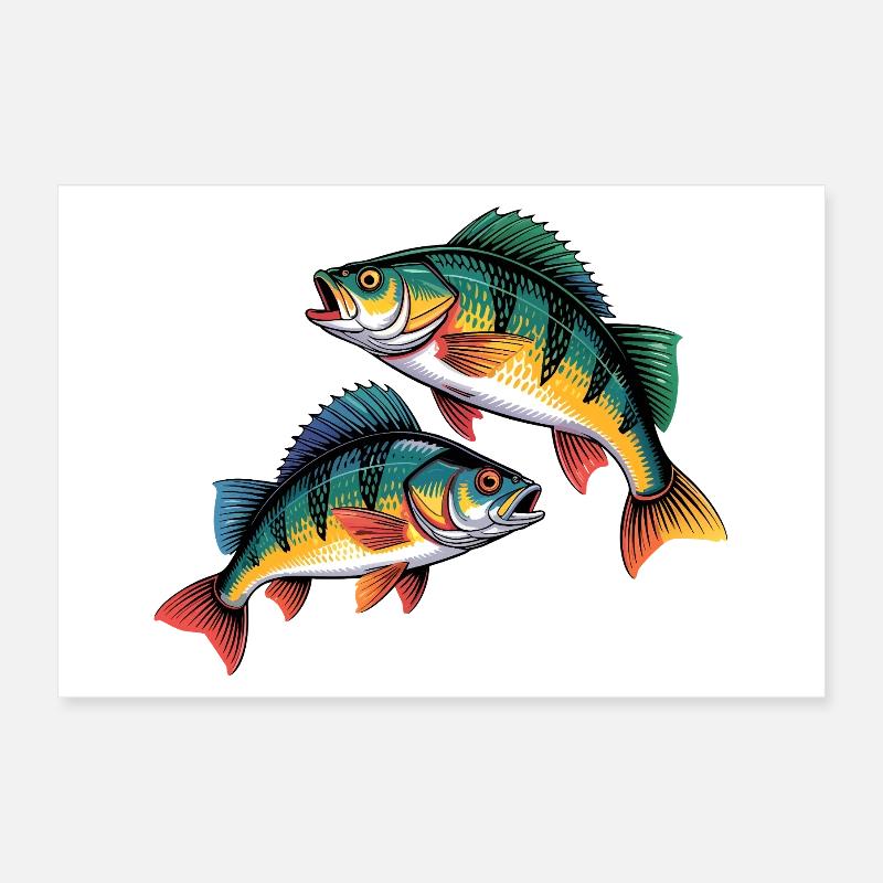 Zwei Barsche Poster 30x20 cm
