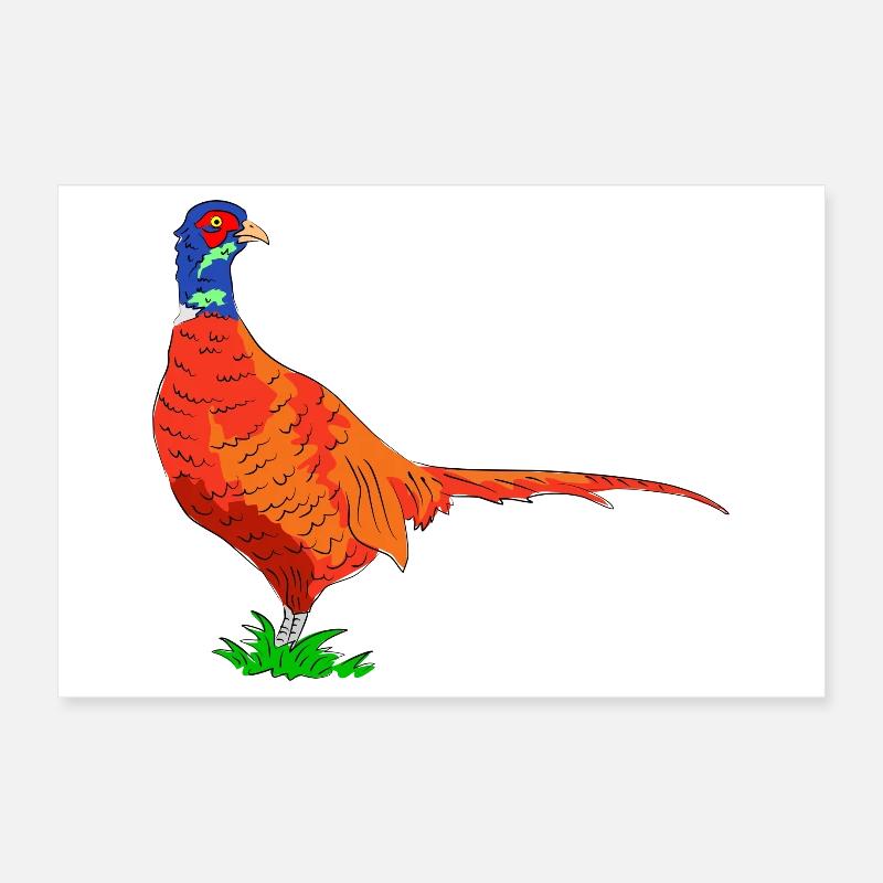 fasan vogel jäger Poster 30x20 cm