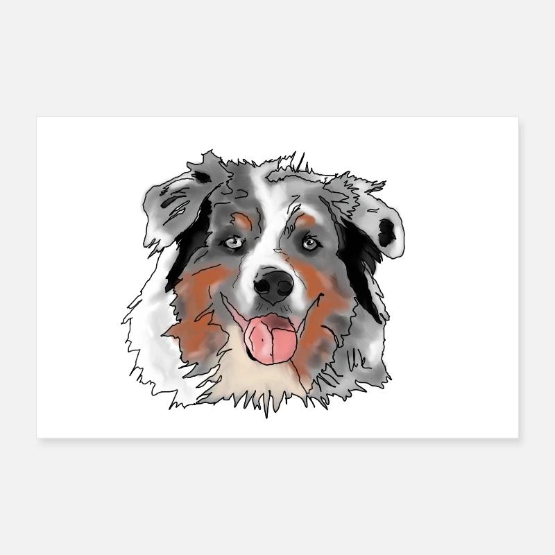 Australian Shepherd Poster 30x20 cm