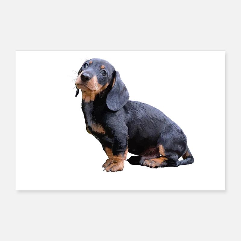 Teckel Poster 30 x 20 cm