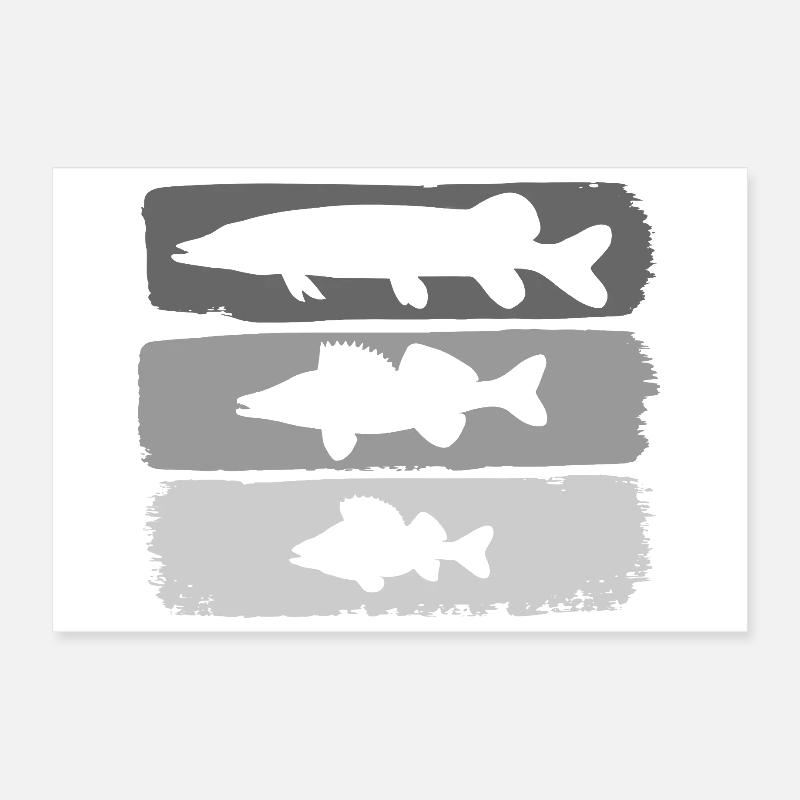 Hecht Zander Barsch Poster 30x20 cm