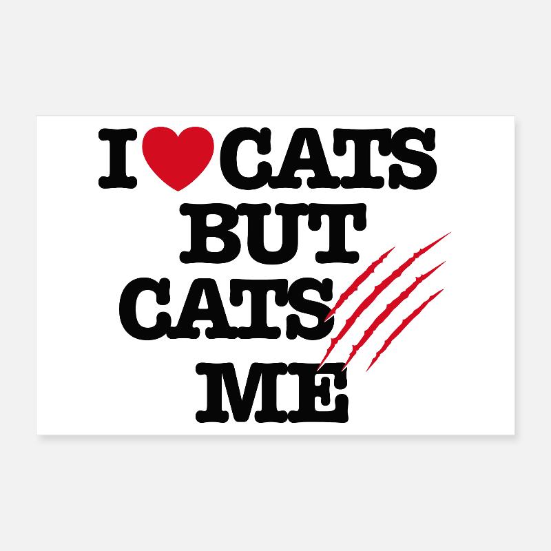 Drôle de chats vétérinaires qui grattent le chat, j’adore les chats Poster 30 x 20 cm