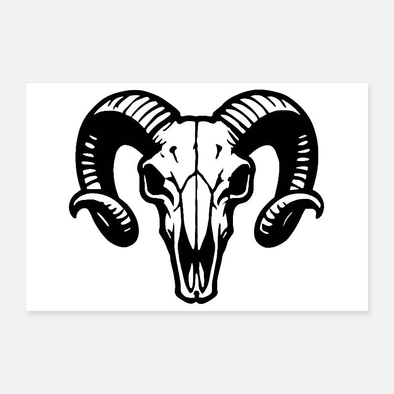 Widderkopf Schädel mit Hörnern - Rammbock Poster 30x20 cm