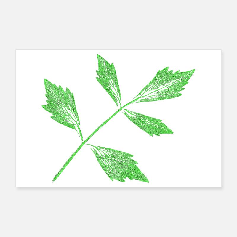 Leaf - Lovage / Herb Plant Poster 12" x 8" (30x20 cm)