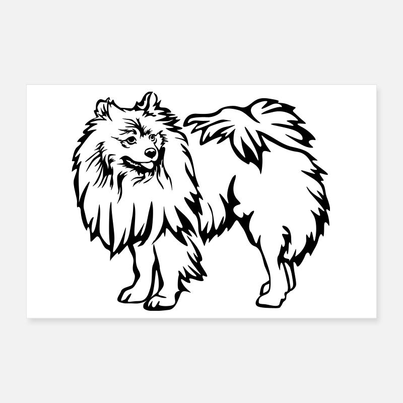 Spitz Poster 12" x 8" (30x20 cm)