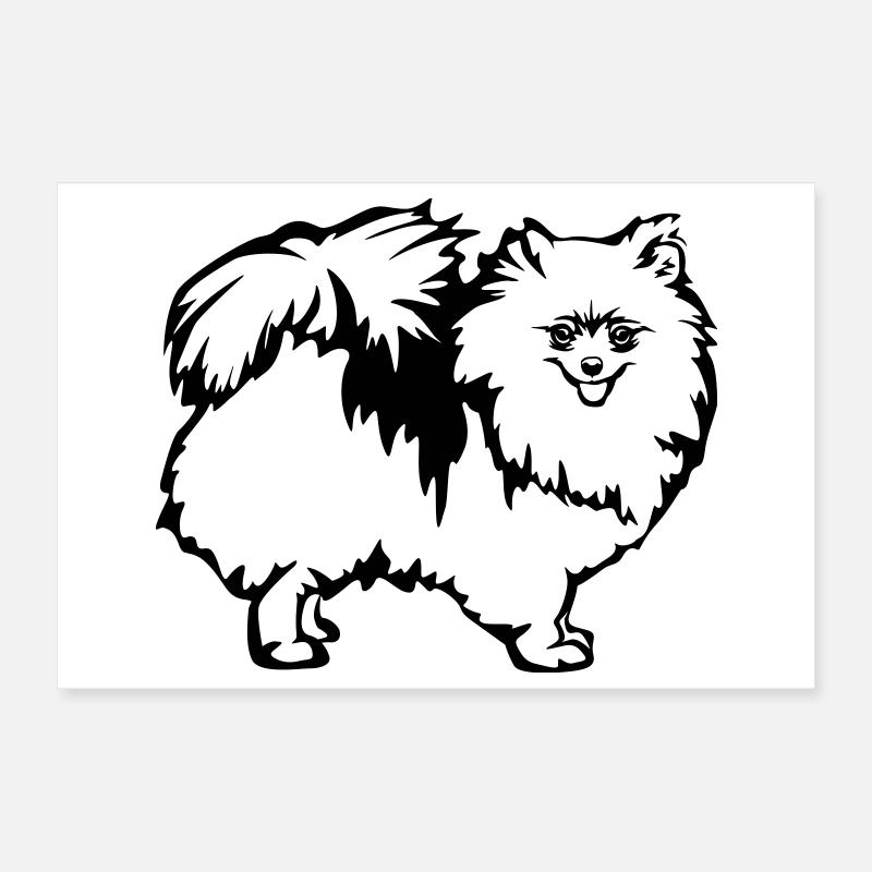 Spitz nain Poster 30 x 20 cm