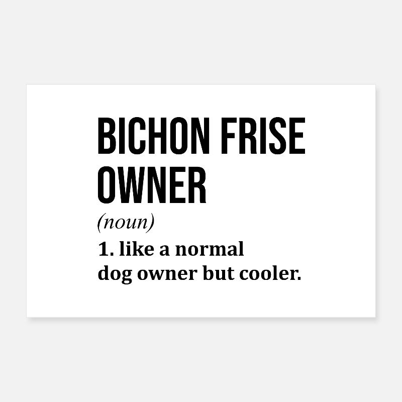 Bichon Frise Poster 30x20 cm