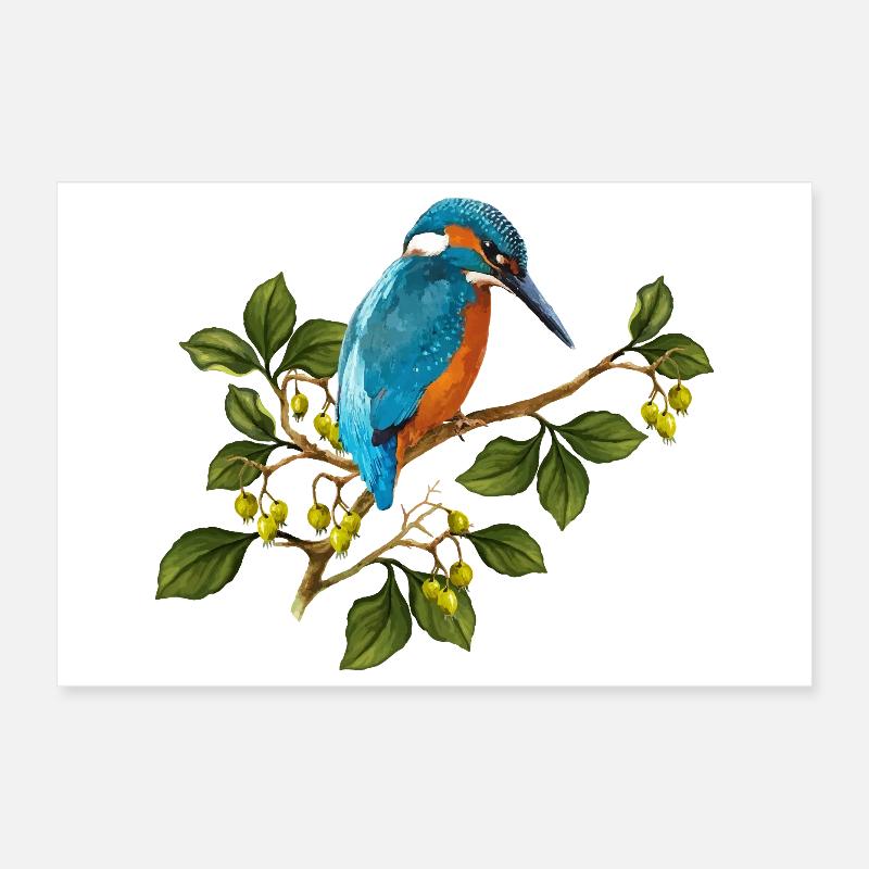 Oiseau coloré Poster 30 x 20 cm