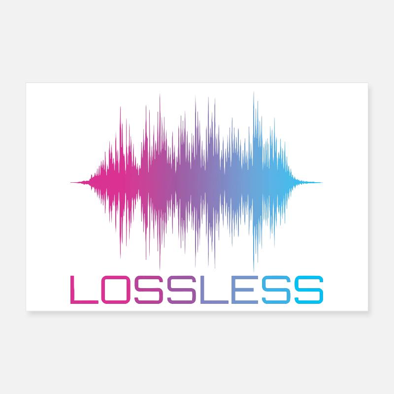 Lossless Audio Format Audiophile Sound Poster 12" x 8" (30x20 cm)