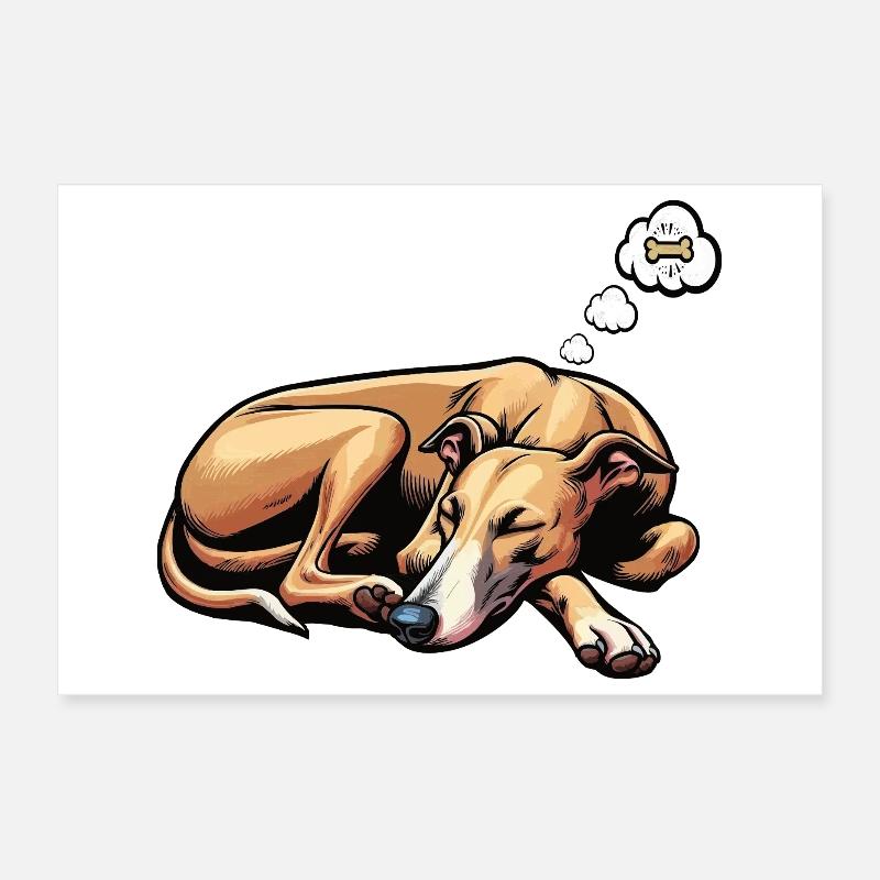 Whippet Greyhound Whippets Propriétaire de lévrier Poster 30 x 20 cm