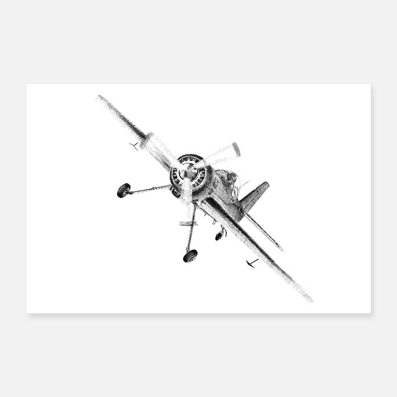 plane Poster 30 x 20 cm