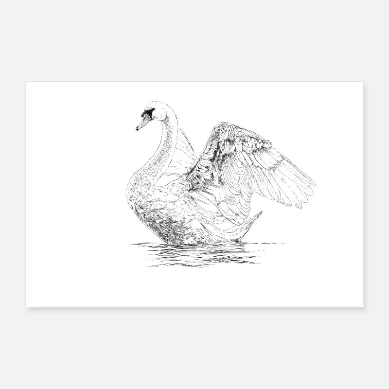 Schwan Poster 30x20 cm