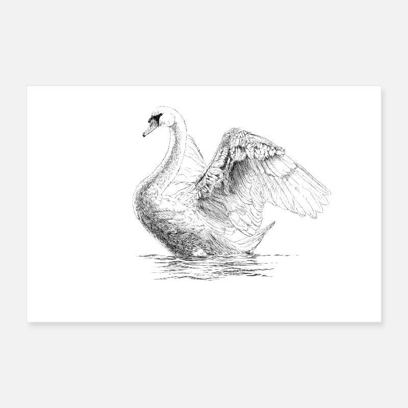 Swan Poster 30 x 20 cm