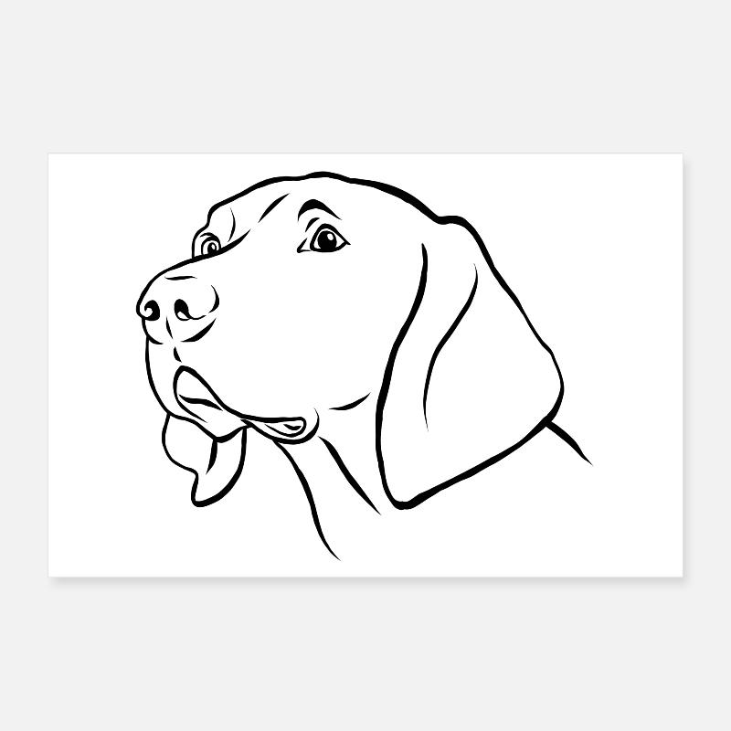 Weimaraner Portrait Poster 30x20 cm