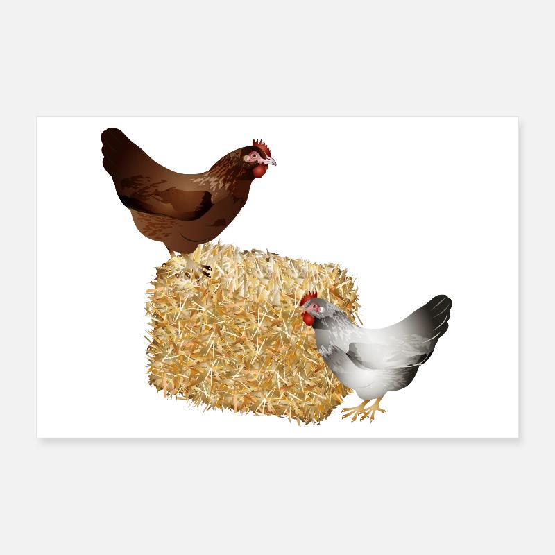 zwei Hühner auf einen Strohballen Poster 30x20 cm